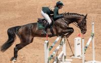 Kazakh equestrian claims silver at international tournament in Poland