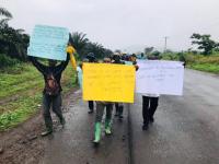 Cameroon: CDC Seeks Government Action Over Palm Tree Destruction at Esuke