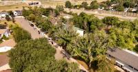 Saskatoon braces for more Dutch elm disease cases