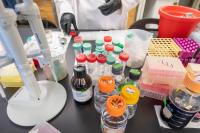 New Biomedical Sciences Undergraduate Research Program Offers Valuable Lab Experience
