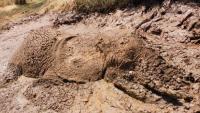 Villagers Spot Movement In A Mud Pit — And Realize An 8,000-Pound Animal Is Trapped