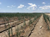 Colorado River District warns of unequal impacts from new conservation program