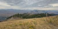 Bald Mountain Stewardship project aims to reduce wildfire risk, improve forest health