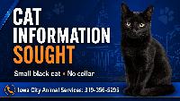 Iowa City Animal Services seeks information after cat bite