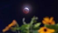 Maine photographer captures near-total lunar eclipse over Kennebunkport