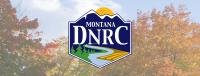 DNRC Launch Grant Program to Expand Tree Canopy in Montana
