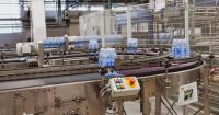 Botswana Bets on Infant Industries