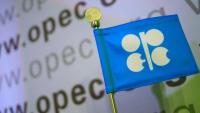 Venezuela Helped Build OPEC. Now It May Help Break It Apart