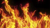 Fire destroys several stalls at Cross Roads Market