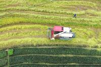 China approves law to enhance food security and modernize farming