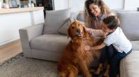 This non-profit is rescuing animals from across the country, and you can adopt them