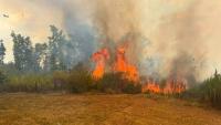 Northwest Florida agencies deploy to Texas as Ross Fire continues to burn