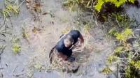 'Trying to swim and get away from those drones': Martin County uses multiple drones to catch suspect