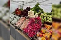 New fund aims to reap support for Revelstoke farmers, alleviate food insecurity