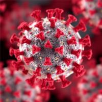 M18-China Crimean-Congo Hemorrhagic Fever Virus GP38 Protein Shows Broad Immune Recognition