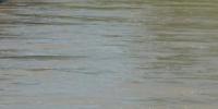 Efforts to minimize damage to growers underway after 4.25M gallons of sewage spill into Arkansas River in Pueblo