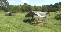 400 sign petition opposing plans to develop rural community in metro Atlanta county