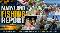 Maryland Fishing Report for Friday, August 28, 2026