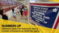 Nebraska State Fair kicks off with strong livestock numbers as 4-H members fill barns