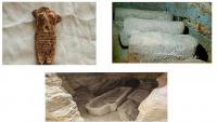 Egypt unearths three previously unknown tombs from different eras at Bahariya Oasis cemetery