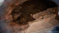 Seven ancient Parthian tombs unearthed in Iraq’s Kurdistan region amid survey of 6,500 sites