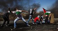 About 63 attack operations carried out in West Bank in last Week