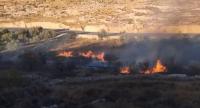 "Wall, Settlement Resistance Commission": Settlers Set 799 Fires in West Bank from Beginning of 2023 Until July