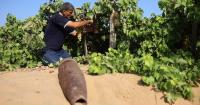 How grapevines and fig trees are slowly taking root again in Gaza
