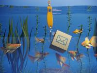 Epic MyChart Phishing Scam Hits Health Systems: What Providers Should Do