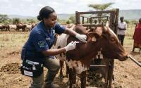 Farmers at the heart of antimicrobial resistance fight