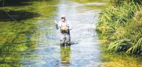 Climate change threatens chalk stream fish