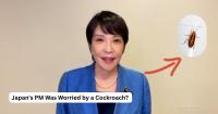 ‘Relieved But Lonely’: Japan PM After Staff Gets Rid Of Her Cockroach Companion