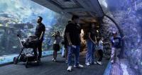 California aquarium takes in at least 500 animals rescued from wildlife traffickers