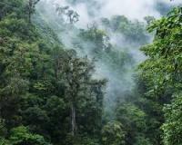 Costa Rica Leads Global Sustainable Tourism Projections for 2026