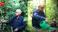 Delhi Man’s Mini Orchard: Retired tax officer grows 1,000+ terrace plants