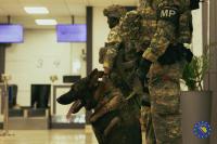 Multinational EUFOR Forces Continue Exercise Quick Response 2026 Across BiH