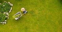 Gardeners urged to follow '4 step method' to achieve a lush green lawn this month