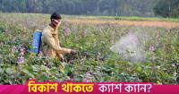 Open sourcing of agrochemical raw materials to boost investment: Businesses