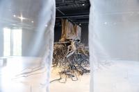 New Jordan Schnitzer Art Museum exhibits look to nature