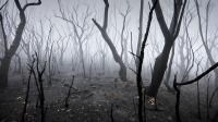 Scientists end of world warning report with earth 'on brink of collapse'