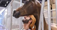 Emirati culture and tradition on display as Adihex gets under way