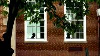 Federal grand jury investigation puts new focus on DC school attendance A federal grand jury investigation is putting new focus on attendance, truancy and graduation records inside D.C. Public Schools(DCPS) as 7News finds striking