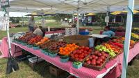 Grand opening for MU education center coincides with annual Mizzou tomato festival