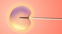Belgian authorities investigate whether Dutch mass sperm donor fathered local children