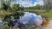 Summit considers the next chapter in Southwest Florida's water story