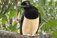 Argentina Diary: Iguazu Falls And The Power Of Nature