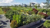 Masterplanned Florida Development Features 170-Acre Community Farm and Nature Preserve