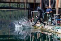 U.S. Navy Demonstrates Expeditionary Warfare, Allied Integration During Northern Viking 2026