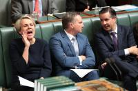 Tanya Plibersek’s history lesson for young Australians