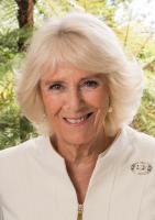 Queen Camilla Is Firmly on Team Kate Amid Harry and Meghan Markle Return to Britain, Author Claims Now